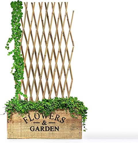 Floordirekt | Treillis en Bambou pour Les Plantes grimpantes - Extensible - Résistant aux intempéries et Durable - Ideal pour Les Jardins, Les clôtures, la décoration | 120 x 180 cm