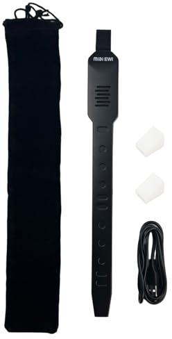 Flylin Instrument à vent numérique, 10 tonalités électronique à vent pour simulation de sons d'instruments de musique, saxophone de poche rechargeable pour étudiants débutants (noir)