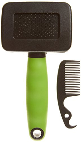 Ferplast Cepillo Carda para Gatos - Pelo Medio y Largo - Cerdas Inclinadas y Puntas Redondeadas, Acero Inoxidable - Mango Ergonómico Suave - Peine Extra Incluido - Tamaño S, Verde