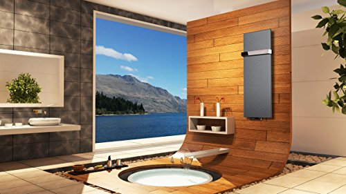 Badheizkörper Design Mirror Steel 2, HxB: 120 x 47 cm, 799 Watt, moonstone-grau (metallic) + 1 Handtuchhalter hochglanz (Marke: Szagato) Made in Germany/Bad und Wohnraum-Heizkörper (Mittelanschluss)