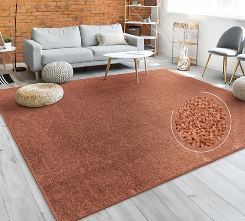 Paco Home Teppich Wohnzimmer Schlafzimmer Esszimmer Kurzflor Moderne Optik Einfarbig Pastell, Grösse:120x170 cm, Farbe:Kupfer