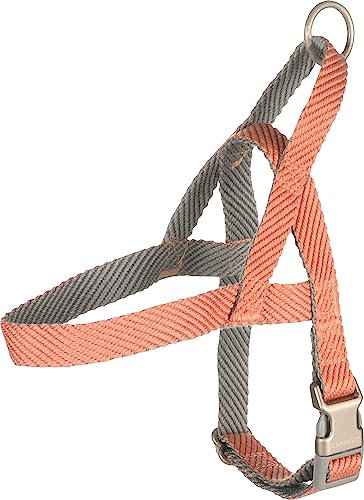 Norweger-Geschirr Elly LACHSROSA M 52-65CM 25MM