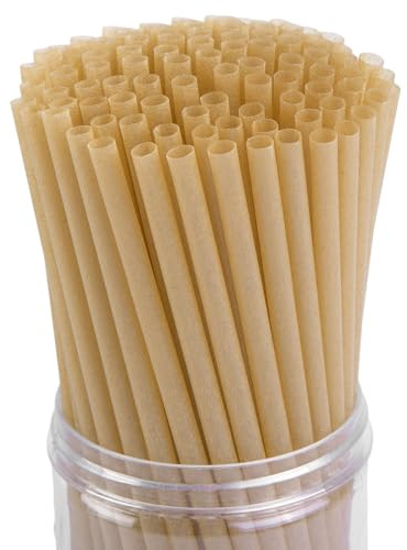 HANSGO Sugarcane Straws, 200PCS Drink Straws Disposable for Hot Cold Drinks, Coffee, Cocktail, Juice Home Favor, The Beach Party, Natural Brown