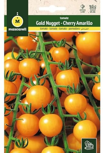 Mascarell Semillas, TOMATE, Semillas Huerto, TOMATE GOLD NUGGET (CHERRY AMARILLO), Crea tu Propio Huerto Urbano y Cultivo en Casa, Plantas Hortícolas, 0,2 Gramos