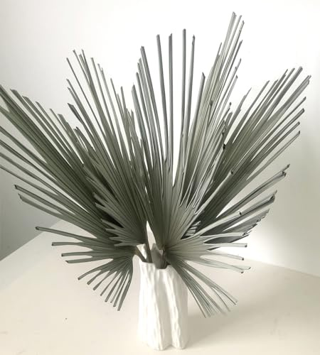 DongArts Dry Sun Palm Fronds, Dried Leaf Fans, Boho Dried Palms, Sun Palm Leaves, Rustic Floral Gift ( 12 Pcs )