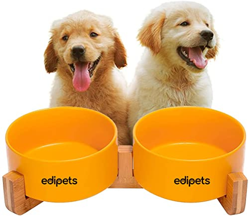 Edipets, Comedero Perro Gato, 400, 800 y 1900 ml, Cerámica, Individual y Doble, Soporte de Bambú Antideslizante, Pequeño Mediano y Grande, 5 Colores (Doble Pequeño, Amarillo)