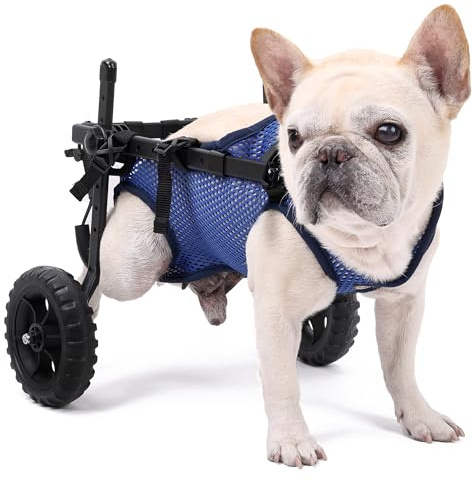 BT Bear Silla de ruedas para perro, carrito ajustable para mascotas con ruedas para patas traseras, soporte para piernas de perro y soporte de cadera, ayuda a las mascotas pequeñas con extremidades