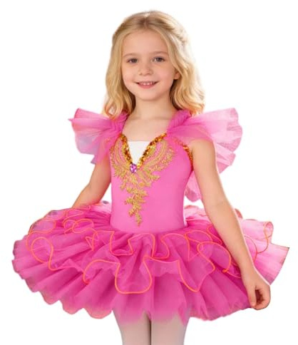 Generisch Vestido de ballet para niñas, disfraz de baile divertido con falda de malla suave para actuaciones y