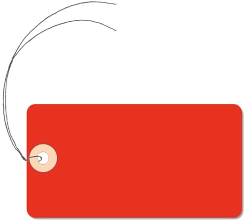 Étiquettes Américaines Rouges 100x55 mm avec Fil Inox – Lot de 200 (8 Liasses de 25) – Carton 160 g/m² avec Œillet Renforcé – Tags Inventaire, Stock, Logistique, Déménagement