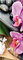 artissimo, Glasbild, 30x80cm, AG9413A, Zen I, Orchidee, Blume, Bild aus Glas hochkant, moderne Wanddekoration aus Glas, Wandbild Wohnzimmer modern
