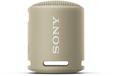 Sony SRS-XB13 | Enceinte Ultraportable Mono-Gris Minéral