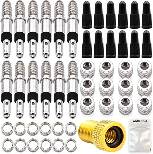 49-Teile Fahrrad-Ventil Blitz-Ventile Ersatz-Set: Dunlop Ventileinsatz mit Dichtung, Überwurfmutter, Felgen-Mutter, Ventil-Kappen, Adapter, Ersatzteile, City-Bike Rad Reparatur Reifen-Ventile wechseln