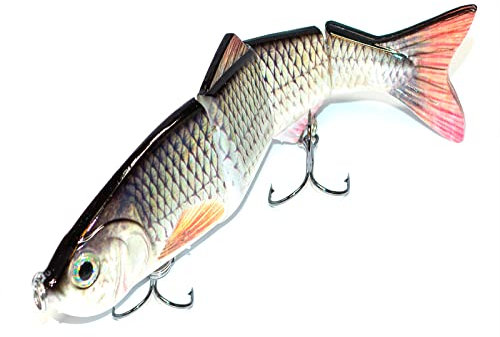 Angelköder Kunstköder Wobbler Köder Hechtköder Angelzubehör Raubfisch - 1 x Rotauge 150 mm für Spinnrute zum Spinnfischen als Köderfisch für Waller Barsch Angeln Tiefläufer von PRIOstahl