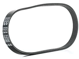 febi bilstein 28771 Keilrippenriemen 4 Rippenanzahl, 1 Stück