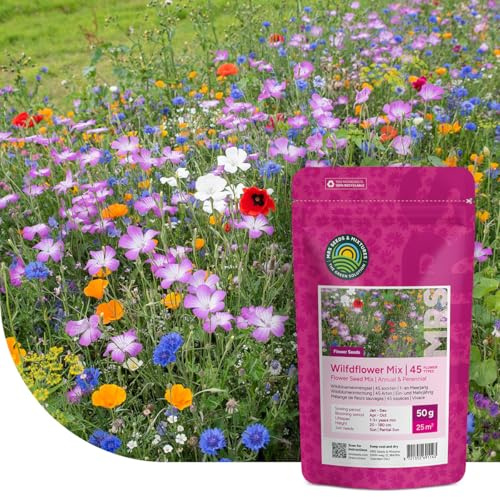 Bunte Insektenfreundliche Wildblumensamen Mischung - 1 Kilo für 500 m² - Einjährige & Mehrjährige Blumenmischung - für Wildbienen, Hummeln & Schmetterlinge - Schnelle Aussaat - MRS Seeds