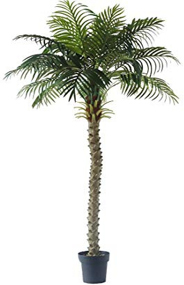 Palmera artificial de coco de 160 cm de alto con 18 hojas de palma y fibra de palma, palma de coco artificial en maceta