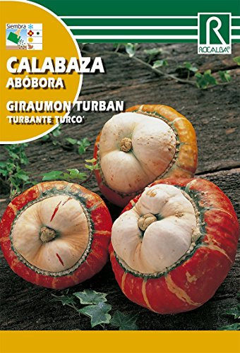 Semilla calabaza Turbante Turco - Rocalba