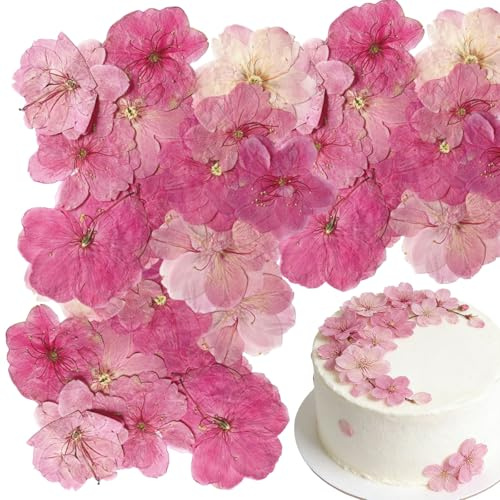 Floruvia 40 pièces 2 Types de Fleurs Naturelles pressées, décoration de gâteau - Sakura, Fleurs de Cerisier pour Toppers de Cupcakes, Cocktails, Bijoux en résine, projets de Bricolage