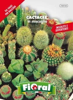 Sementi da fiore di qualità in bustina per uso amatoriale (CACTACEE IN MISCUGLIO)