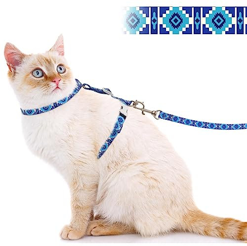 Supet katzengeschirr mit Leine ausbruchsicher, Verstellbares Katzengeschirr für große und kleine Katzen, leicht Kätzchengeschirr Kitten, Katze Leine und Geschirr Set für Walking (Blau M)