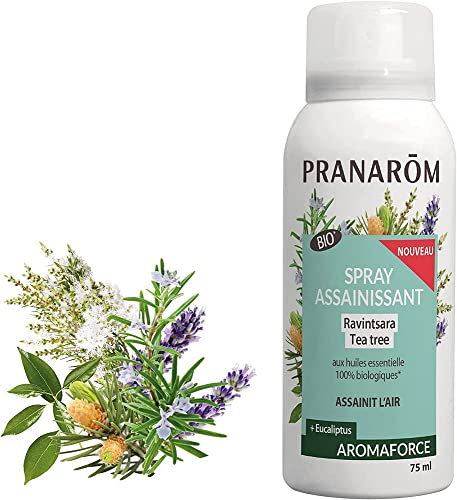 PRANARÔM - Aromaforce - Spray Assainissant Aux Huiles Essentielles Bio - Ravintsara Et Tea Tree - Assainit Et Purifie L'Air - 75 ml