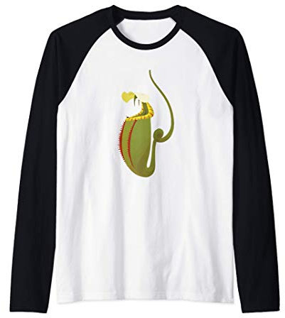 Carnivorous Nepenthes Pitcher Plant - Botany Plant Lover Manche Raglan