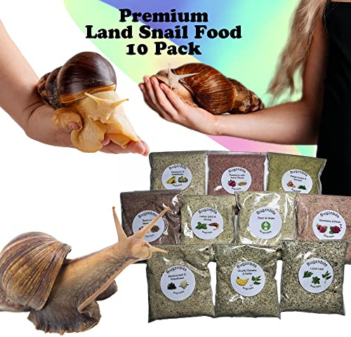 Giant African Land Snail Food, The Ultimate pack, 10 x 30g pack, aslo great for millipedes and hermit crabs