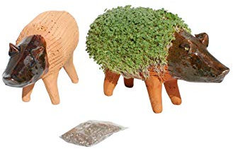 Tumia LAC Lassen Sie Ihr eigenes KresseSchwein gedeihen (Inklusive Kressesamen). Fair gehandelt. Handarbeit aus Mexiko. Schwein.