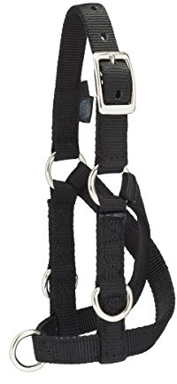Weaver Leather Livestock Sheep & Goat Training Halter, Medium, Black