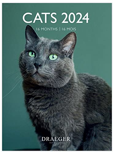 DRAEGER PARIS | Petit calendrier mural Cats 2024 à suspendre 14x18cm |16 mois sept 23 à dec 24 | 7 langues | Calendrier bureau, cuisine, maison mensuel | Papier certifié FSC® | encres végétales