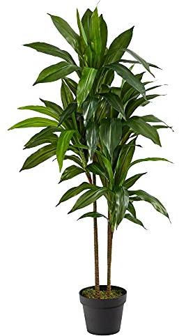 Nearly Natural 48in Artificial Dracaena with Real Touch Leaves and Multi Tonal Trunks, Large Indoor Silk Plant with Pot, Maintenance Free For Living Room And Home Office Decor