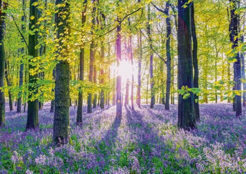Schmidt Spiele 59767 delikata klockblommor i skogen, 1000 bitar pussel, färgglada