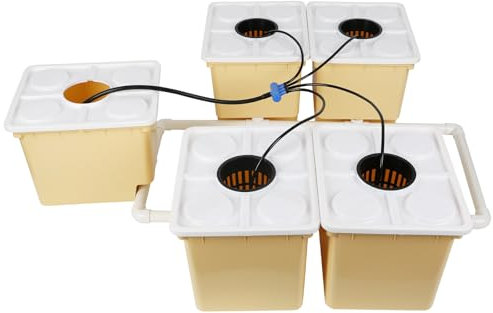 DWC System Deep Water Culture Hydroponic Bucket Kit für Pflanzen Hydroponik Anzuchtsystem für Kräuter Tomaten Gemüse DWC System mit Luftpumpe