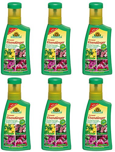 Neudorff Ferramin Eisendünger Gardopia Sparpakete + Zeckenzange mit Lupe (6 x 250 ml)