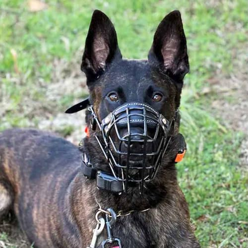 SYORIX Munkorg i metall för hund (storlek 39) för Malinois, Schäfer, Husky, andningsbar trådkorg, hållbart plastbelagt stål
