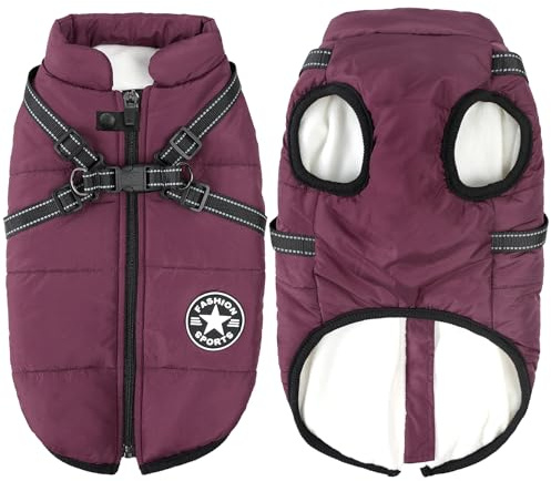 Aiboria Abrigo para Perros de Invierno, Resistente al Viento, Impermeable, 2 en 1, Ropa para climas fríos, Chaqueta cálida de Invierno, Chaleco pequeño para Perros, Talla M, Color Morado