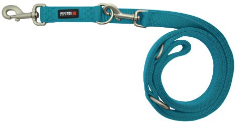 Wolters Cat&Dog Professional 27253 Führleine Classic Gr.XL lang 300cm x 25mm aqua