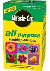 Value Pack of 4(Huge Savings on Postage) - Miracle-Gro All Purpose Soluble Plant Food 1 kg Carton