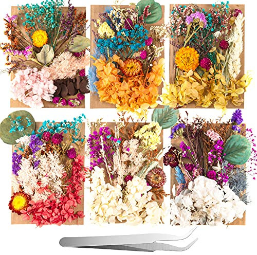 Nuanchu 200 Pcs Natural Dried Pressed Flowers Leaves with Tweezers