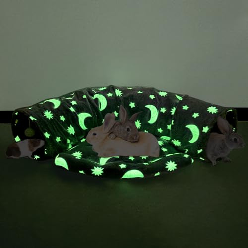 BWOGUE Bunny Tunnel Bed, 2-in-1 Collapsible Tunnel Tubes Toys with Removable Mat Hideout for Cats Kittens Rabbits Guinea Pigs Kitty