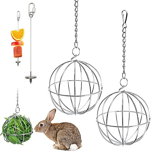 2 Stücke Heuball Kaninchen, Edelstahl Feeder Ball, Kaninchen Ball Feeder, 1 Stücke Gemüsefütterungsgabel aus Stahl, für Futterkaninchen, Hamster, Chinchillas und Andere Kleintiere