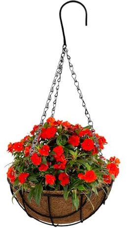 Lnhgh Vaso Da Fiori Sospeso Con Inserto In Fibra Di Cocco, Staffa Per Cesto Sospeso A Parete, Cesto Per Piante Sospeso In Metallo Per Uso Esterno, Cesto Per Piante Da Giardino