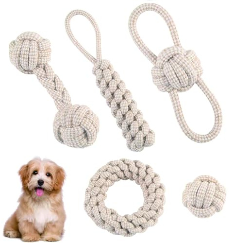 Kalsey 5 Pièces Jouet Chien Corde, Jouet D'Entraînement Chien, Ensemble De Jouets pour Chiens en Corde, Tressée Interactive en Coton Tressé, pour Tous Les Types De, Accessoire