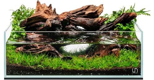 Ultum Nature Systems Ultra Clear Rimless Aquarium - Low Iron Glass Fish Tank with 45° Mitered Edges, 5mm-12mm Thick, Leveling Mat Included (5S, Shallow, 2 Gallon)