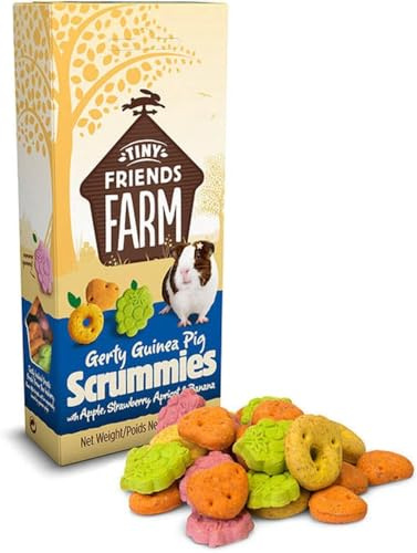 ark future Tiny Friends Farm Healthy Baked Bites Treats for Small Pets - Suitable for Hamsters, Rats, Gerbils, Ferrets, Guinea Pigs, Rabbits – Resealable Bag 120g (Scrummies)