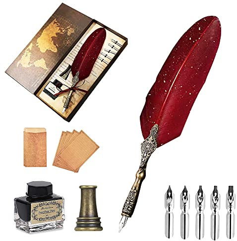 AOMAYLL Federstift Tinte Set,Vintage Dip Pen,schreibfeder Kalligraphiestift-mit 5 Federn und schwarzer Tinte, Perfekt für Kalligraphie Anfänger (Mit Tinte)