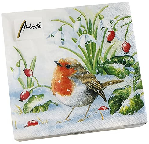 20-ct 13x13 Robin Christmas Napkins for Decoupage - Winter Bird Paper Napkins for Fall and Thanksgiving Decorative