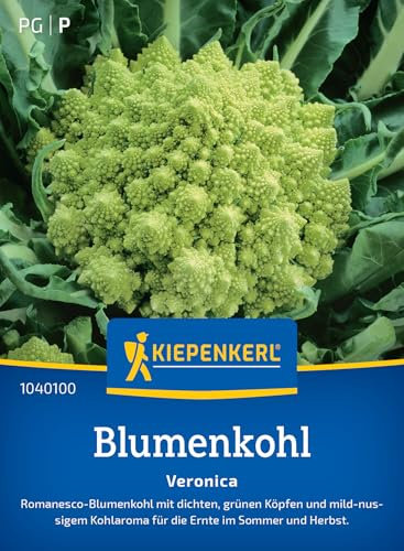 Kiepenkerl Blumenkohlsamen Veronica 1040100 für 30 Pflanzen - Mild-nussiges Aroma, Zuverlässig für Sommer- und Herbsternte, Kohlsamen für Garten, Gemüsesamen, Blumenkohl