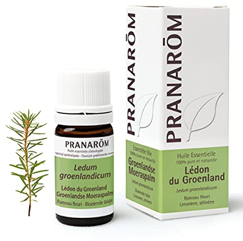 Pranarôm | Huile Essentielle Lédon du Groenland | Thé du Labrador | Ledum groenlandicum | Rameau fleuri | 5 ml