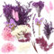 iDattel Natürliche Getrocknete Blumen,Blumen Natürliche Gemischte,DIY Natürliche Getrocknet Blumen Set für Kunst Basteln DIY Harz Scrapbooking Handwerk Karten Machen(Weißviolett)
